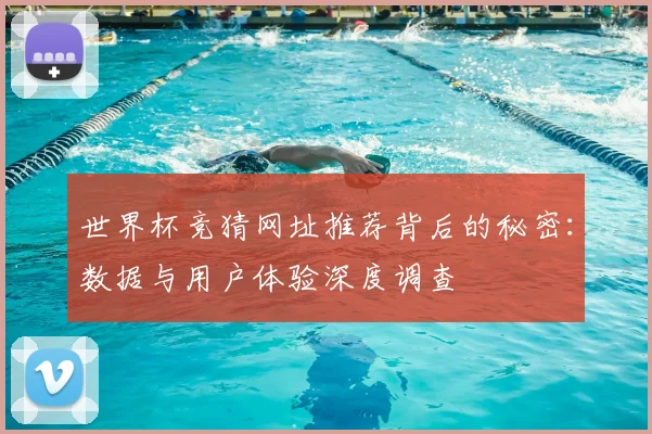 世界杯竞猜网址推荐背后的秘密：数据与用户体验深度调查