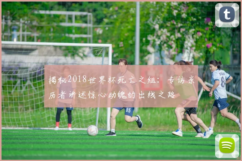 揭秘2018世界杯死亡之组：专访亲历者讲述惊心动魄的出线之路