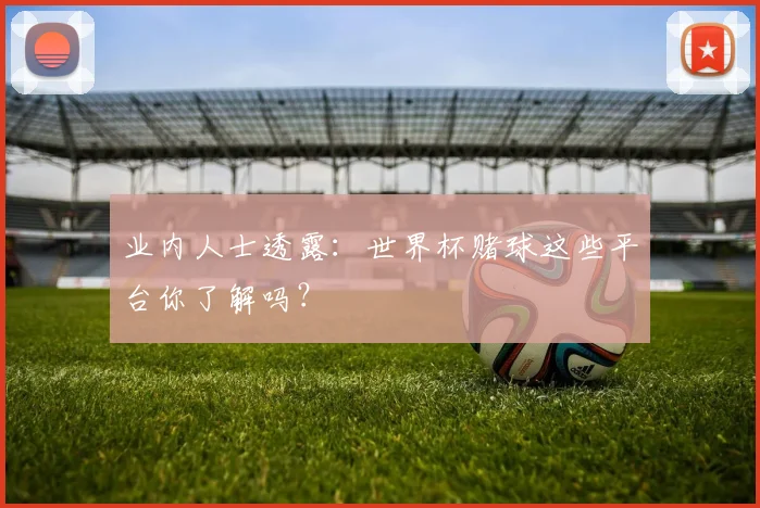 业内人士透露：世界杯赌球这些平台你了解吗？